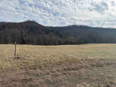 13 Allure Ln, Mountain View, AR 72560 - photo 5