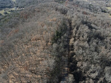 0 Cisco Rd, Berryville, AR 72616 - photo 2