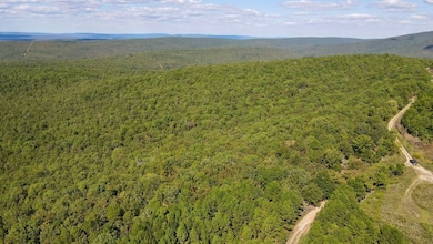 0 Aslin Prairie Rd unit 22990167, Talihina, OK 74571 - photo 6