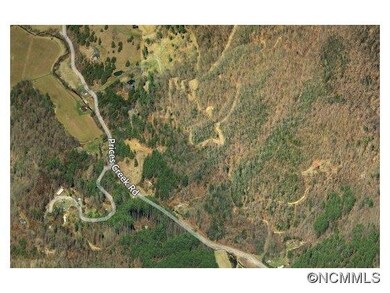 SR1121 Prices Creek Rd, Burnsville, NC 28714 - photo 2