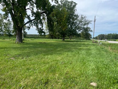775 N State Route 130, Tuscola, IL 61953 - photo 5
