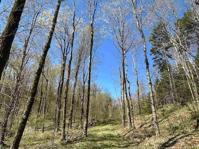 00 Deep Gibou Rd, Montgomery, VT 05471 - photo 4
