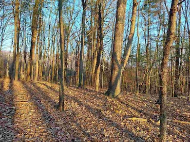 unlisted-address, Stanardsville, VA 22973 - photo 4