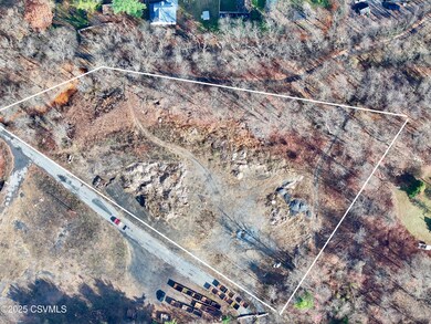 0 Old Excelsior Rd, Coal Township, PA 17866 - photo 5