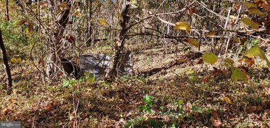 Lot 485A1 Reid Dr, Front Royal, VA 22630 - photo 6