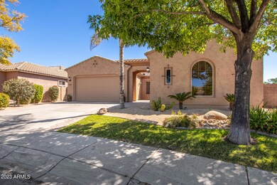 06 Lantana 2533