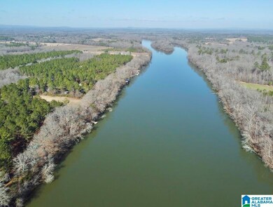 650 & 651 Liberty Shores Blvd unit Lot 9C, Vincent, AL 35178 - photo 3