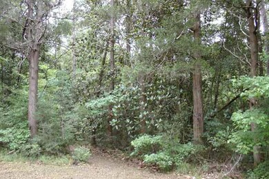 Lush vegetation