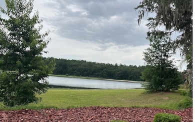 506 NW Fat Cat Ct, Lake City, FL 32055 - photo 2