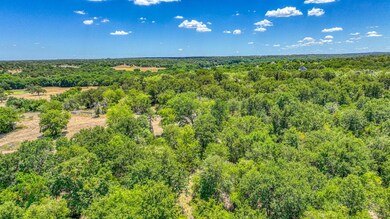 TBD 10 County Road 3679, Paradise, TX 76073 - photo 6