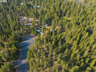 55360 Hen Ln, Three Rivers, OR 97707 - photo 3