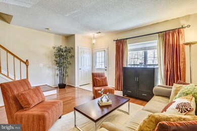 7142 Cold Spring Ct, Alexandria, VA 22306 - photo 6