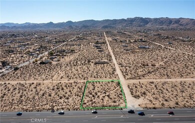 6538 Saddleback Rd, Joshua Tree, CA 92252 - photo 4