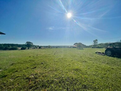 14+/-AC Hwy 393, Crestview, FL 32539 - photo 4