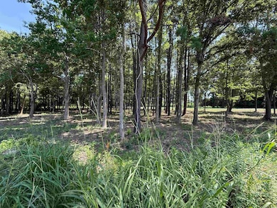 View of undeveloped land