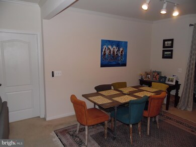 24636 Woolly Mammoth Terrace unit 102, Aldie, VA 20105 - photo 5
