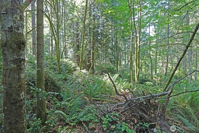 20825 Old Mill Rd SW, Vashon, WA 98070 - photo 4