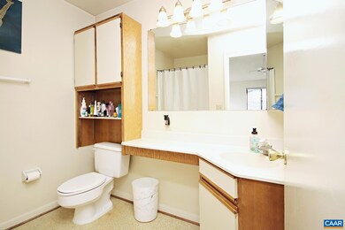 103 Turtle Creek Rd unit 9, Charlottesville, VA 22901 - photo 6