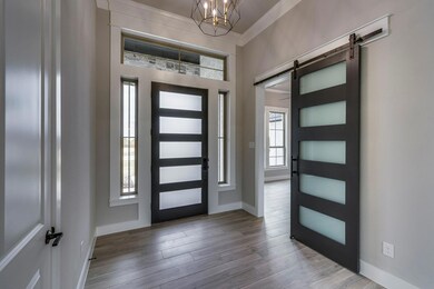 Front Door and Office barn door