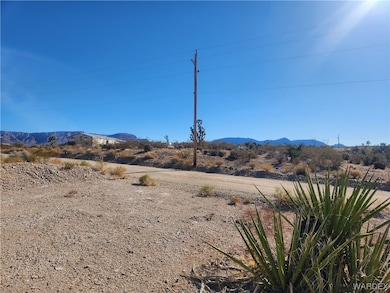 1045 Echo Dr, Meadview, AZ 86444 - photo 7