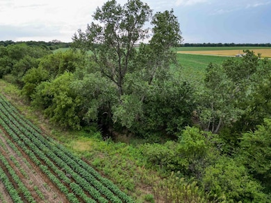 0000 W 111th St S (W Lot), Clearwater, KS 67026 - photo 3