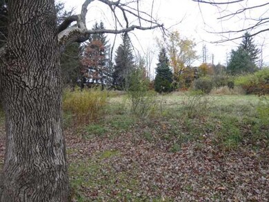 Land/Lot