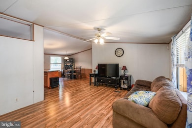 24897 Doe Bridge Ln, Millsboro, DE 19966 - photo 4