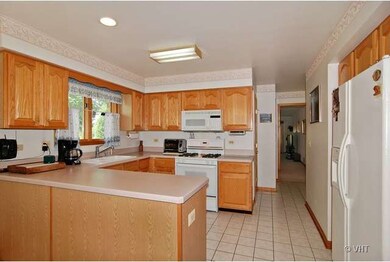 4321 Wehrman Ave, Schiller Park, IL 60176 - photo 3