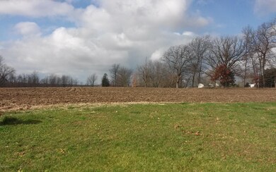 1450 W Charles Rd, Ionia, MI 48846 - photo 3