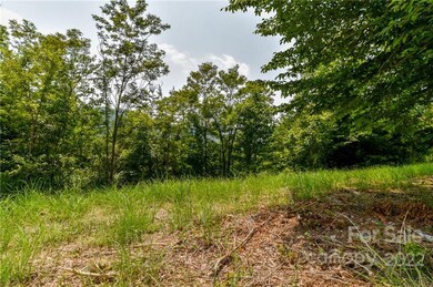 319 the Vines Blvd unit 21, Marshall, NC 28753 - photo 3