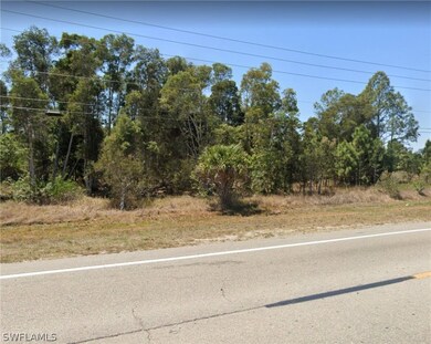 0 Access Undetermined unit 222071764, Lehigh Acres, FL 33974 - photo 4
