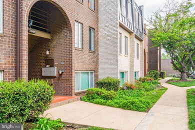 5065 7th Rd S unit 202, Arlington, VA 22204 - photo 5