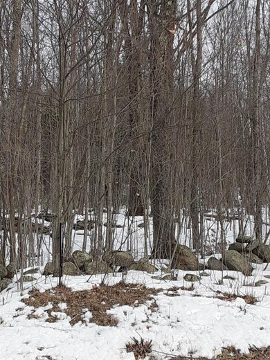 0 North Rd, Barnstead, NH 03225 - photo 3