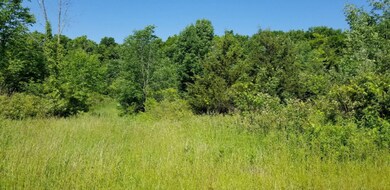 Field