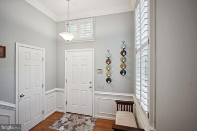 4614 Lambert Place, Alexandria, VA 22311 - photo 3