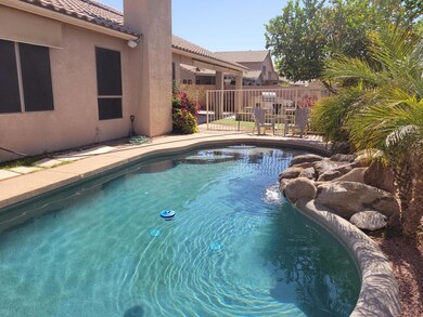 OASIS BACKYARD
