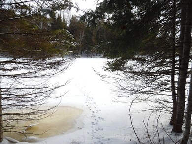 3 Pine River bank of property