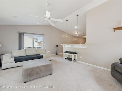 07-380-Spicetree-Ln-Mason-MI-48854-Windo