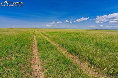 20305 Joyful View, Peyton, CO 80831 - photo 7