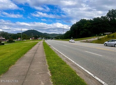 8017 E Lamar Alexander Pkwy, Townsend, TN 37882 - photo 4