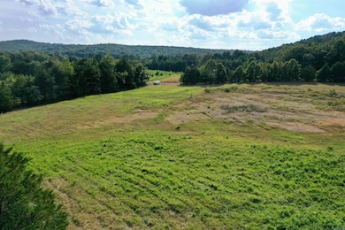 0001 Ridge Rd unit 115 Ridge Drive, Heber Springs, AR 72543 - photo 3