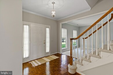 7037 Bedrock Rd, Alexandria, VA 22306 - photo 2