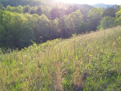 Pasture Continues Down To Lower Fence Line Which W