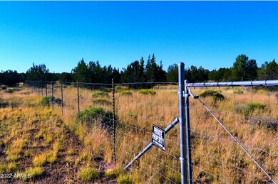 TBD Wagon Tree Rd 9 92 Acres --, Ash Fork, AZ 86320 - photo 4