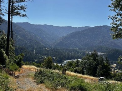 Willow Creek!