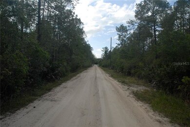 Old Train Road looking north toward Lake Helen