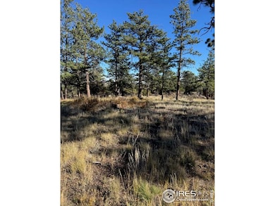 2225 Montcalm Dr, Livermore, CO 80536 - photo 4