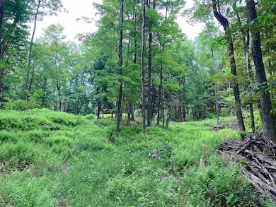 0 Simpson Brook Rd, Waterford, VT 05819 - photo 4