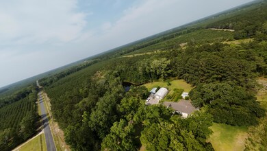 DJI_20250219040853_0124_D