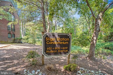 609 Hudson Ave unit 336, Takoma Park, MD 20912 - photo 3